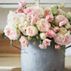 Meet your Posher, Jackie